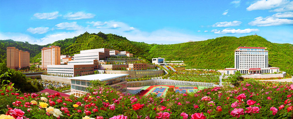 202303141678783653640148.jpg 三季有花、四季常青的金徽礦區-1000.jpg