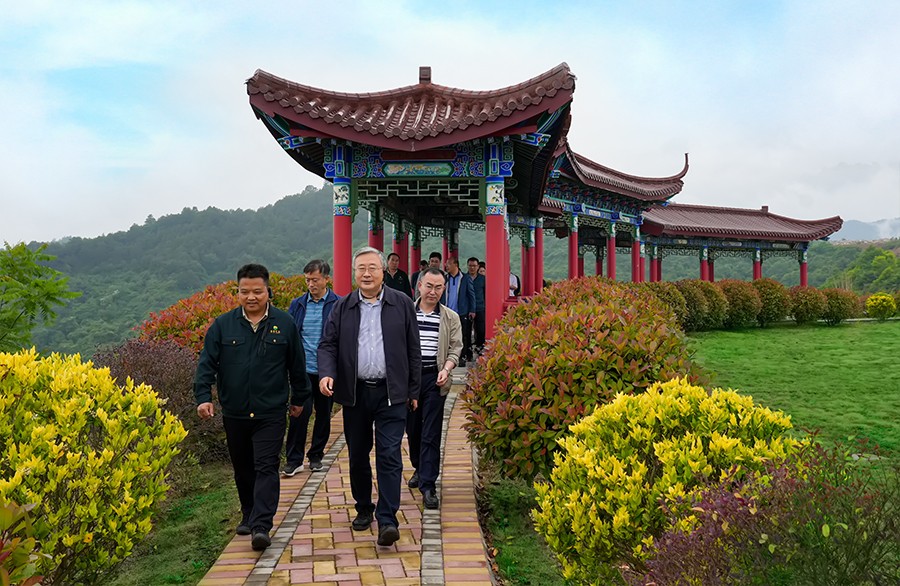 49-2022年5月，省工信廳副廳長(zhǎng)王海峰一行蒞臨金徽股份調(diào)研綠色礦山建設(shè)工作。.jpg