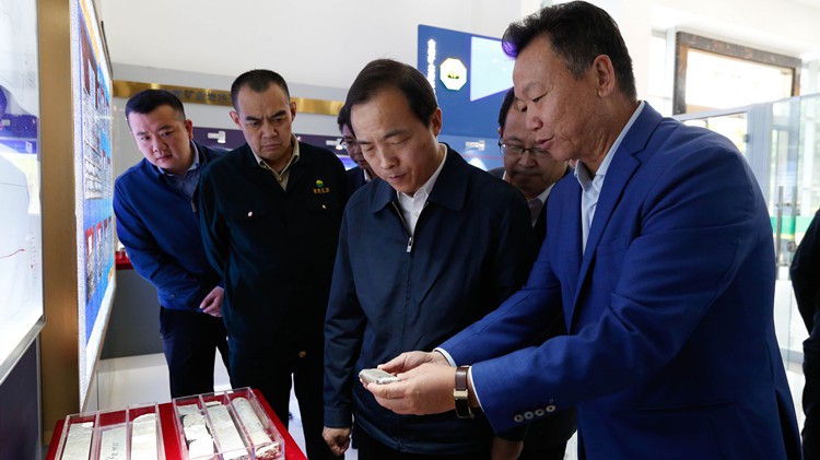 省委常委、副省長周學文蒞臨金徽股份調研綠色礦山建設工作